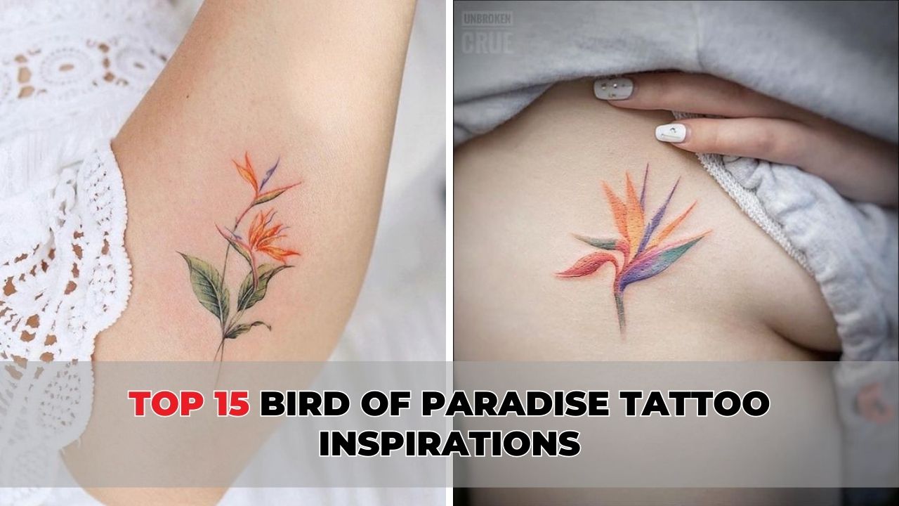 Top 15 Bird of Paradise Tattoo Inspirations